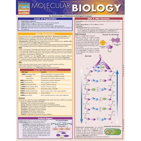 Barcharts Molecular Biology Quickstudy Easel 9781423218739